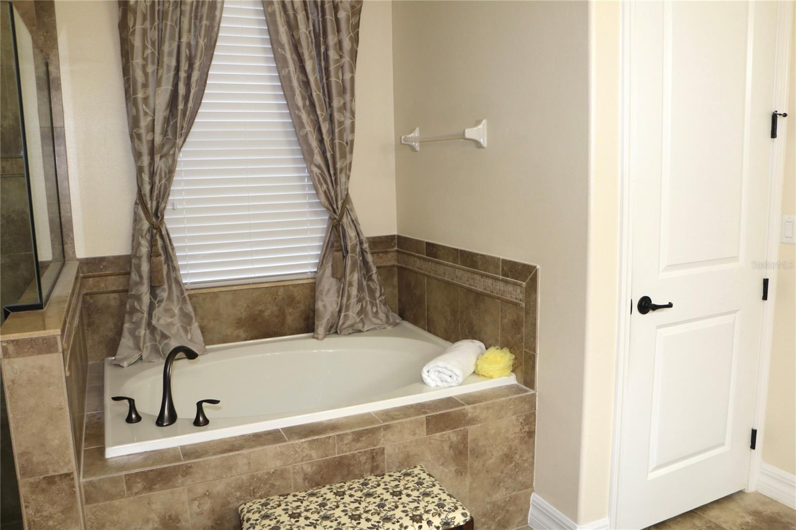 25447 HIGH HAMPTON CIR, SORRENTO, FL — photo 24
