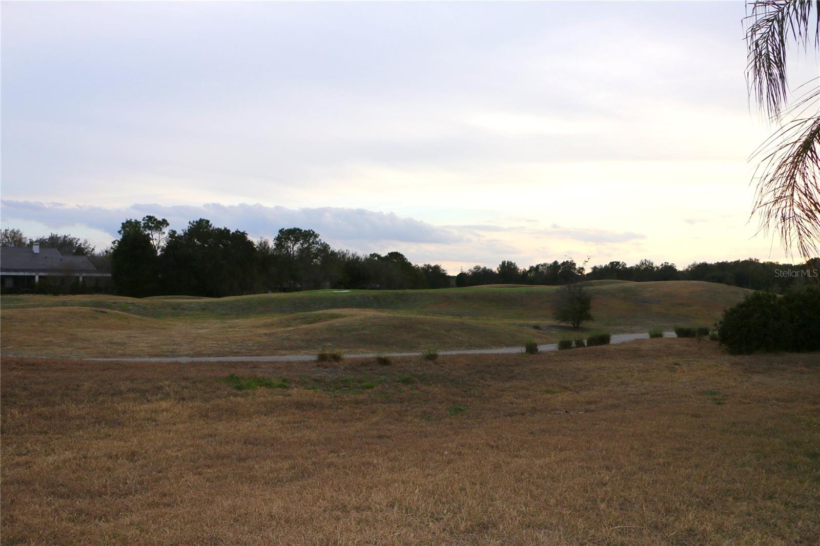 25447 HIGH HAMPTON CIR, SORRENTO, FL — photo 50