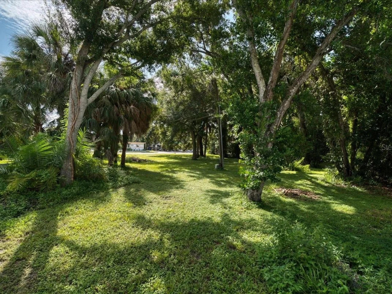 1040 BROADWAY, DUNEDIN, FL — photo 38