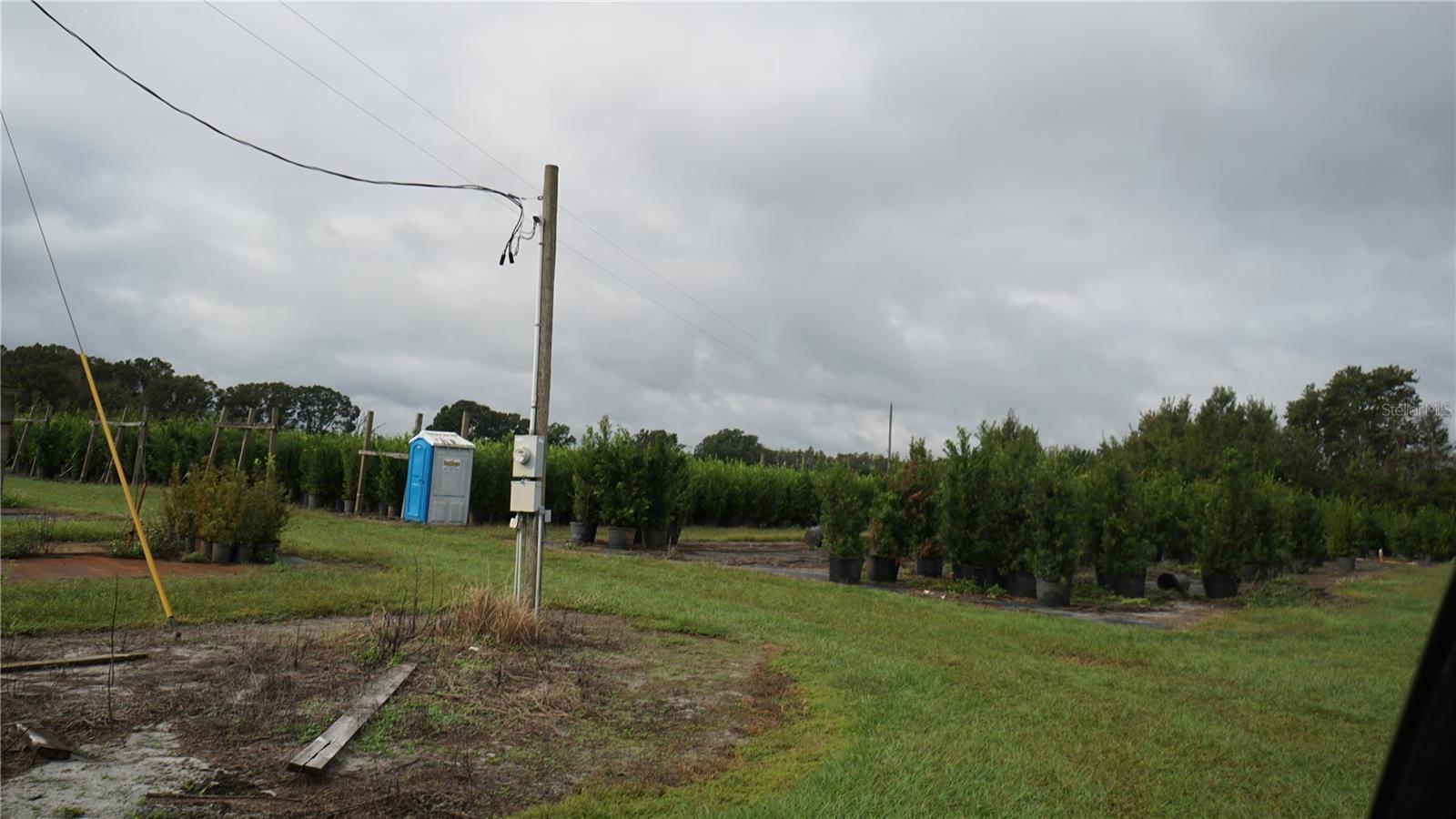 DOUGLAS RD, GROVELAND, FL — photo 25