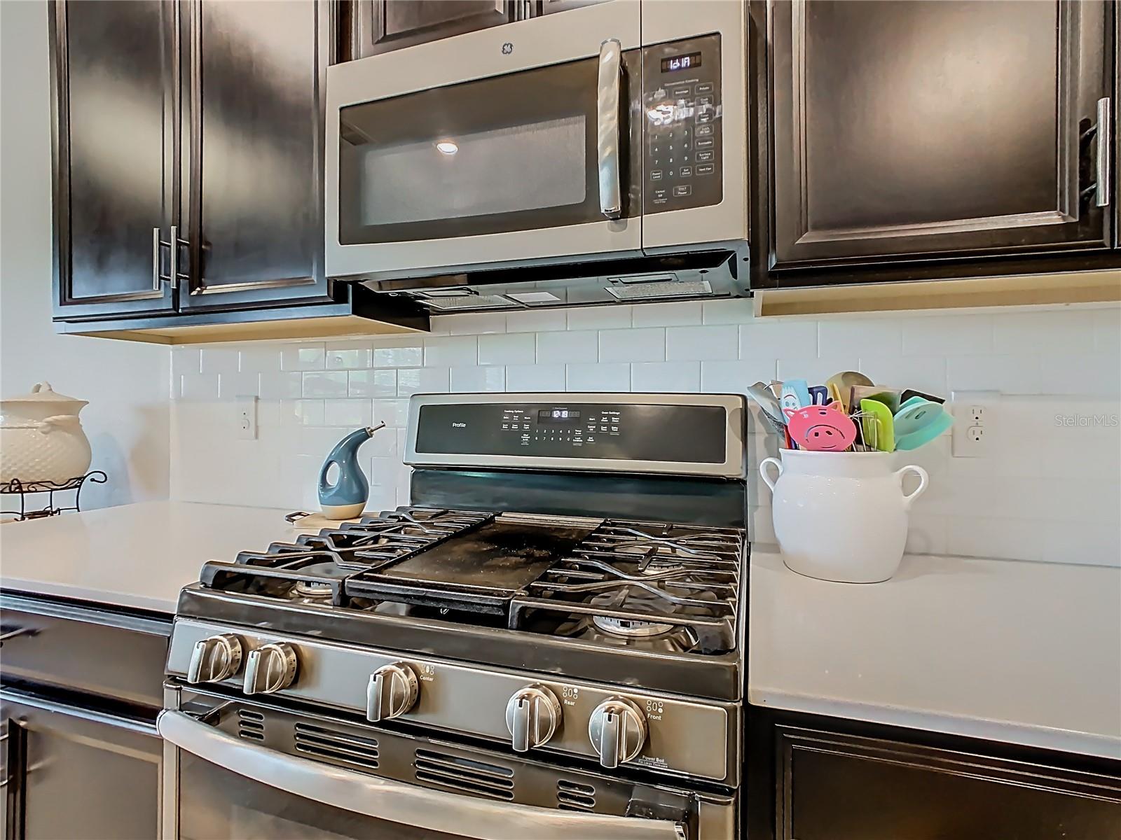 1055 OAK BLUFF DR, DAVENPORT, FL — photo 14