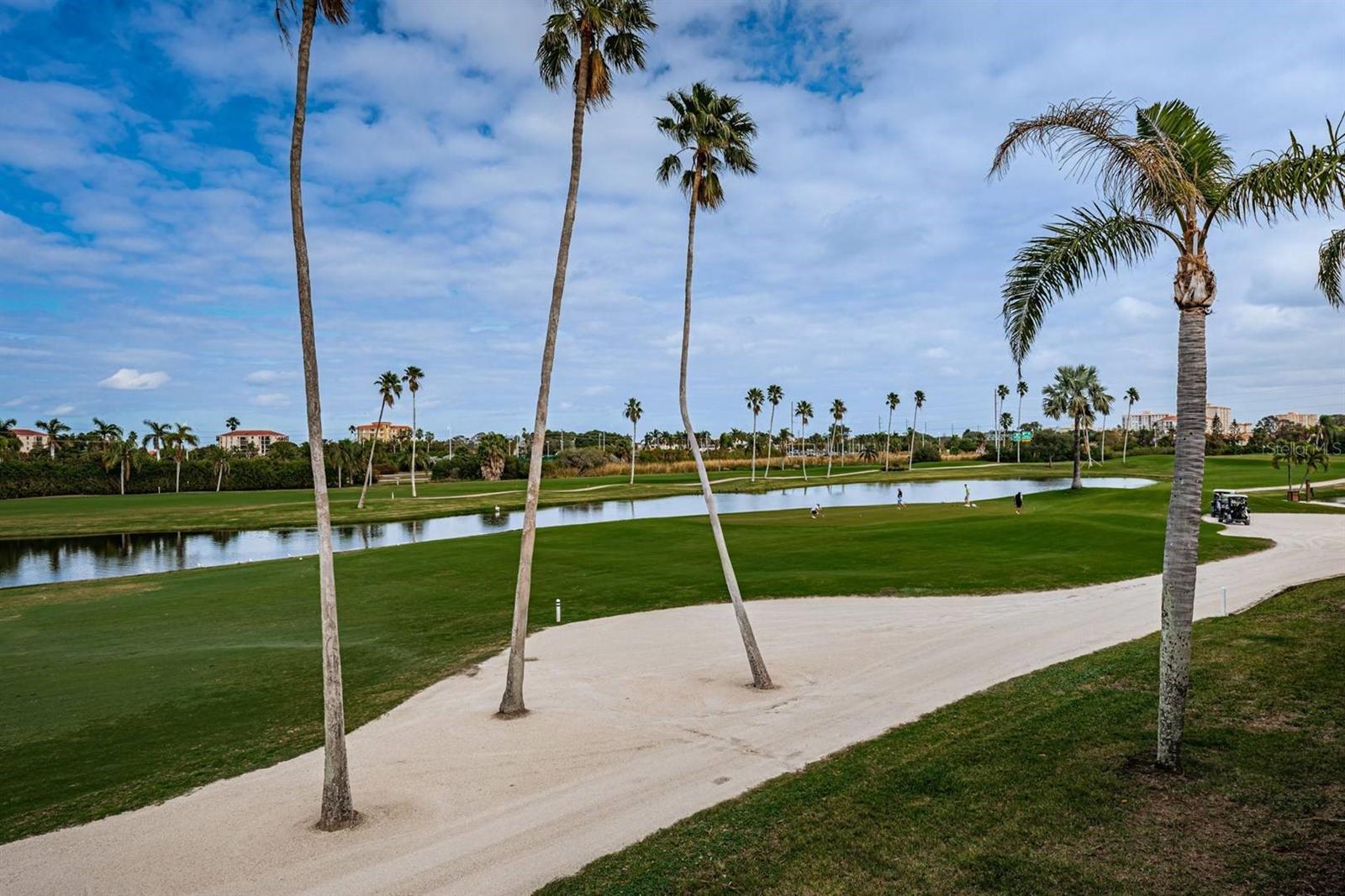 6141 BAHIA DEL MAR BLVD #229, ST PETERSBURG, FL — photo 23