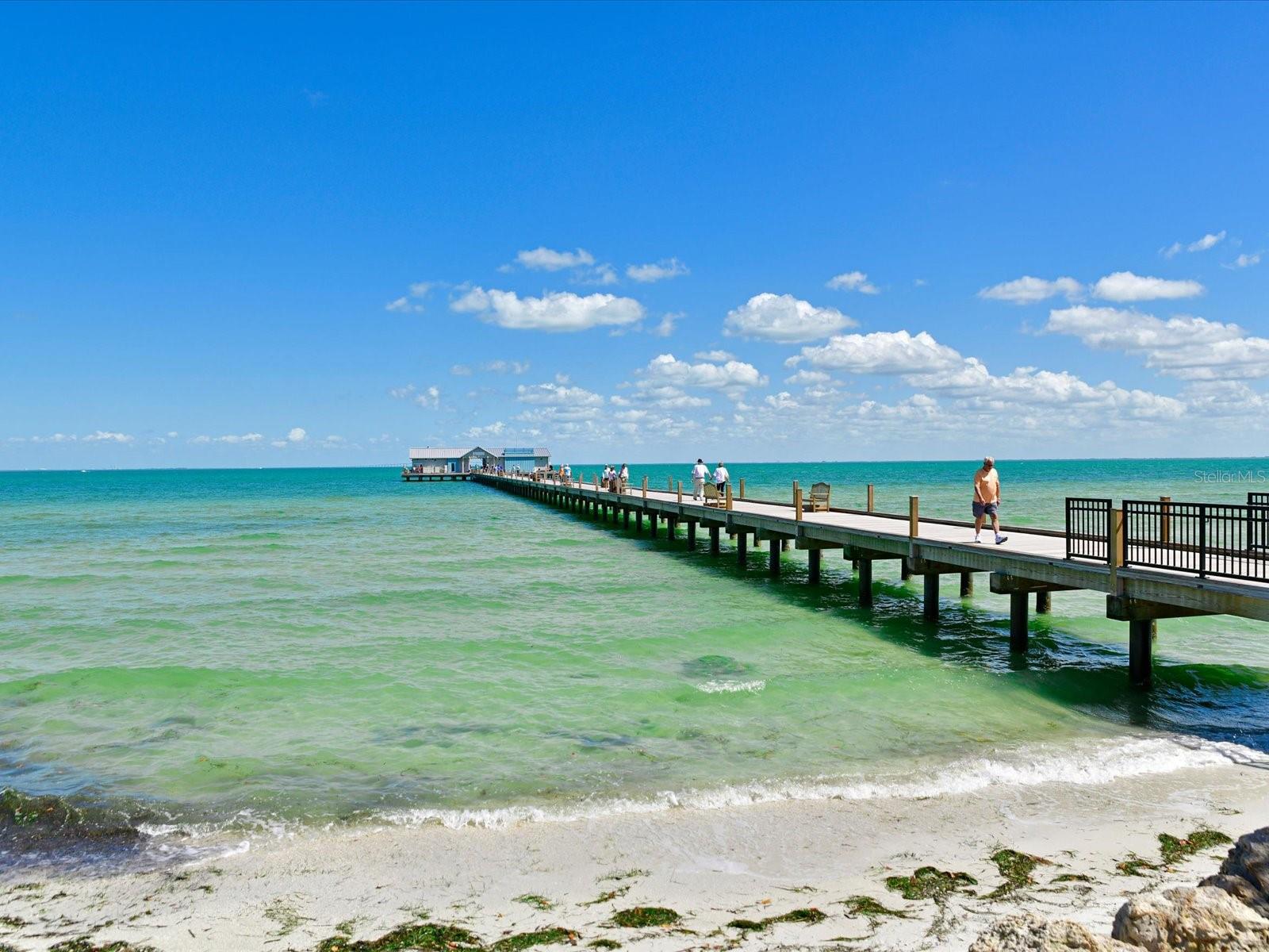 216 GLADIOLUS ST, ANNA MARIA, FL — photo 42