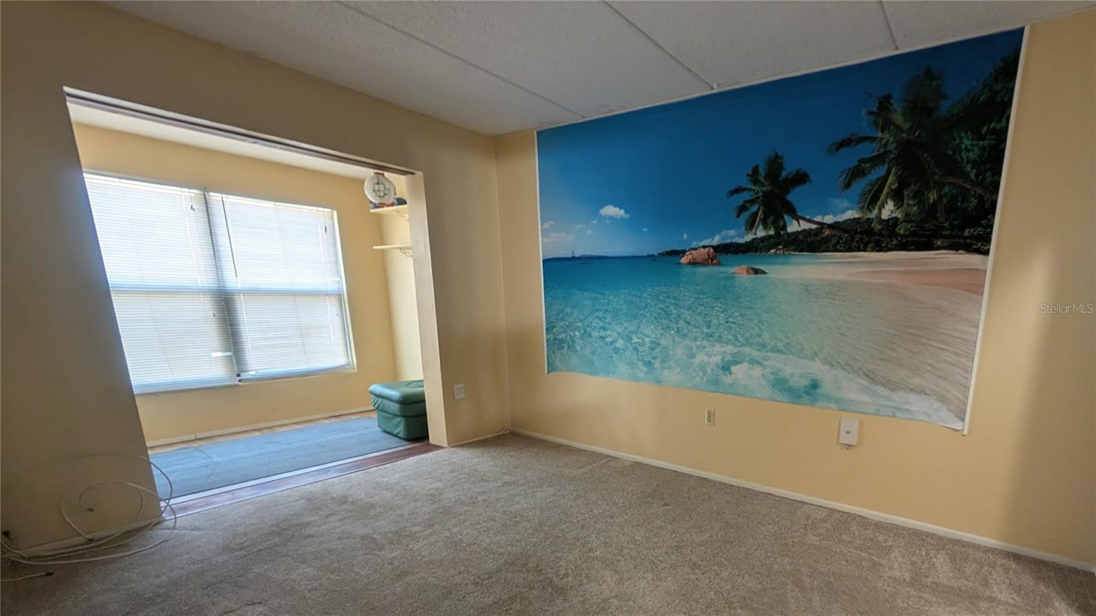 11620 PARK BLVD #209, SEMINOLE, FL — photo 15