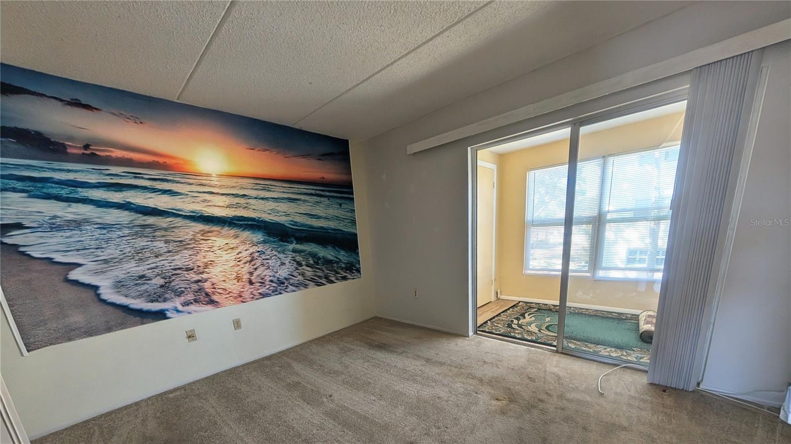 11620 PARK BLVD #209, SEMINOLE, FL — photo 17