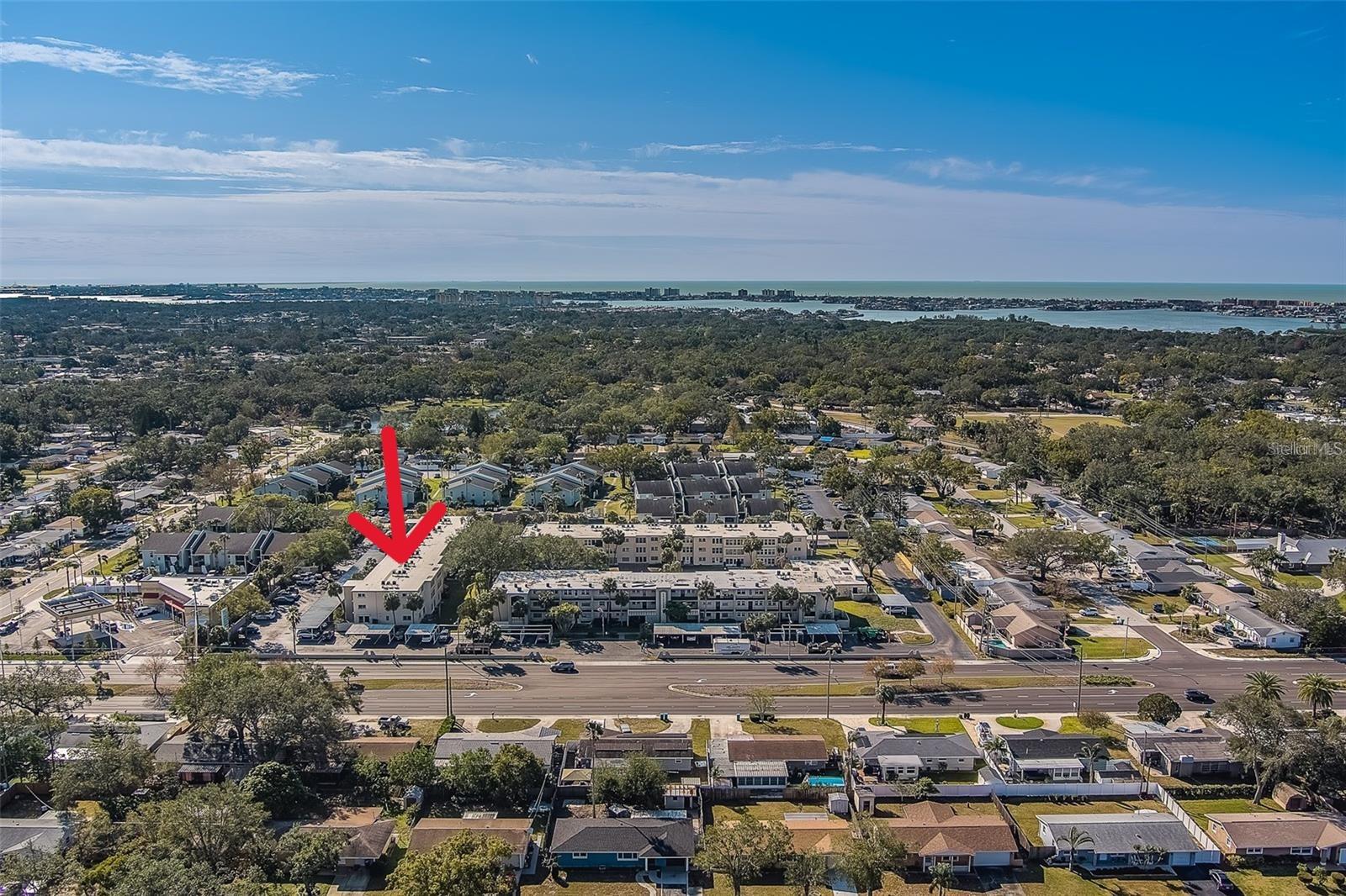 11620 PARK BLVD #209, SEMINOLE, FL — photo 29