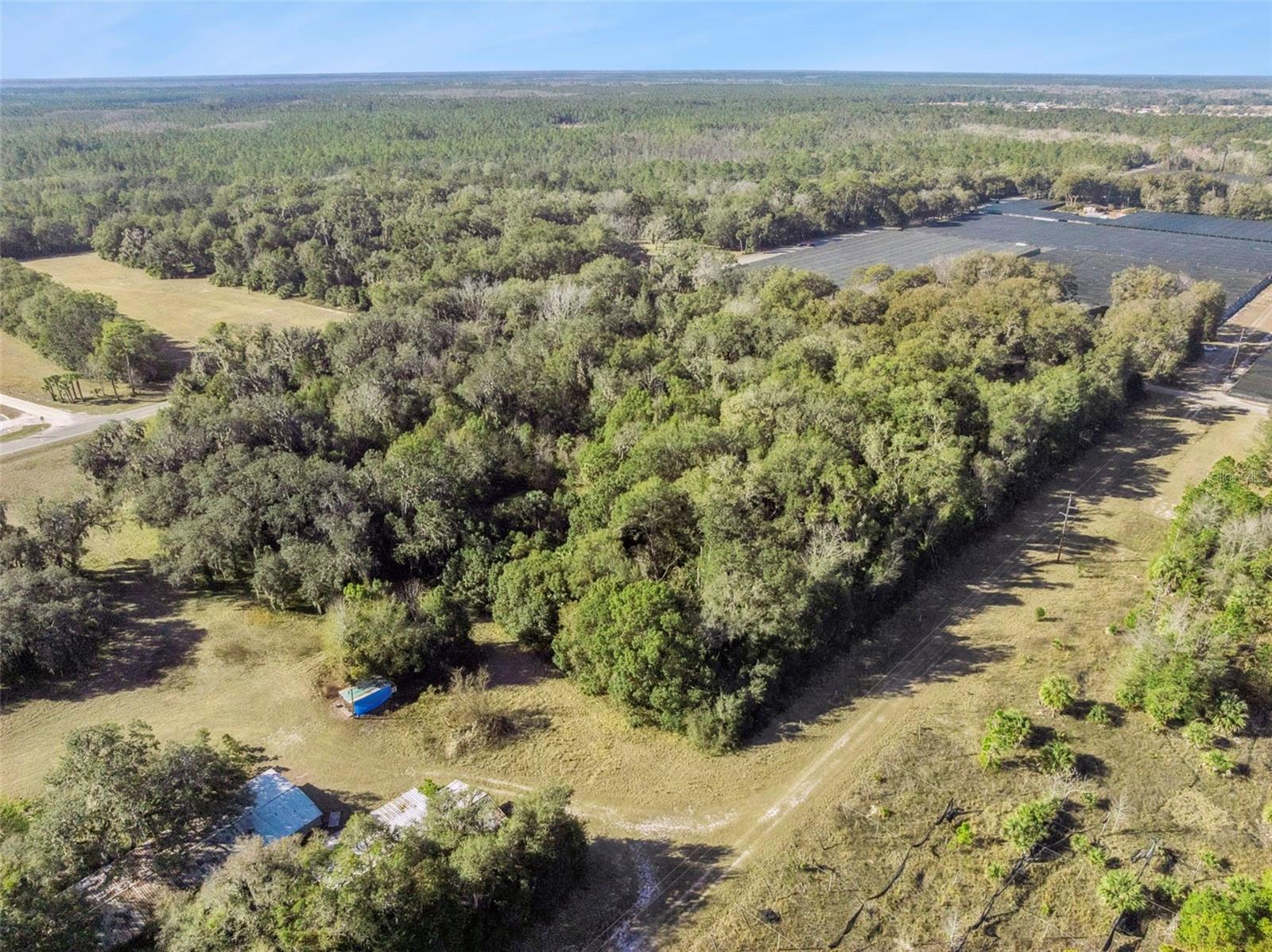 1975 STONE RD, PIERSON, FL — photo 12