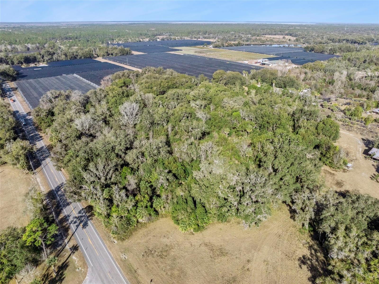 1975 STONE RD, PIERSON, FL — photo 13
