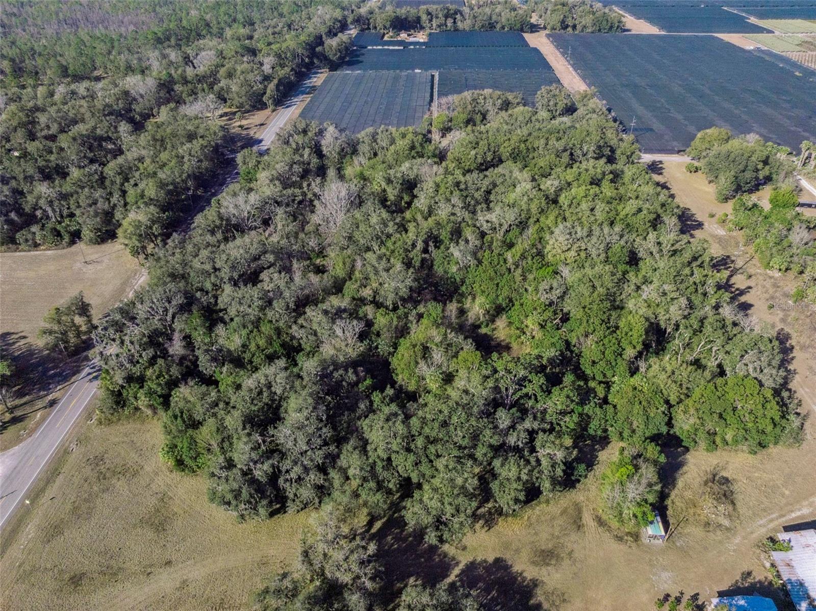1975 STONE RD, PIERSON, FL — photo 22