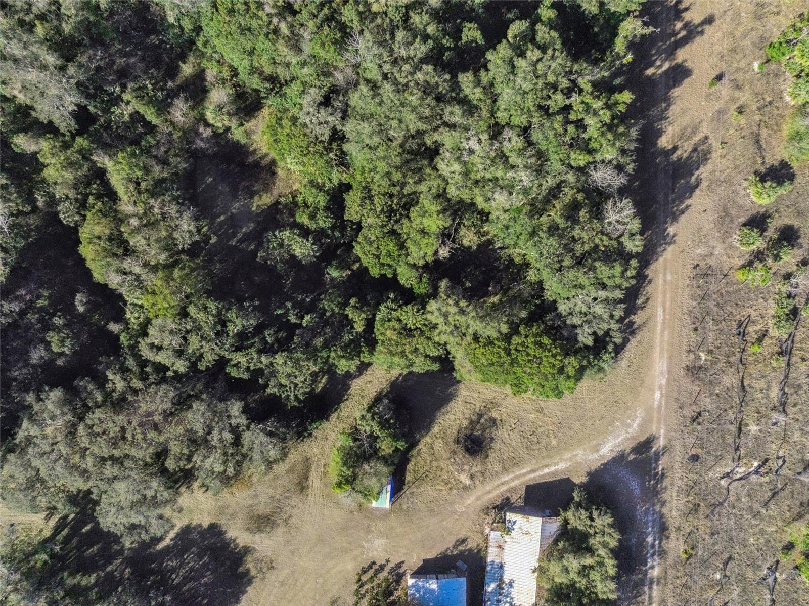 1975 STONE RD, PIERSON, FL — photo 25