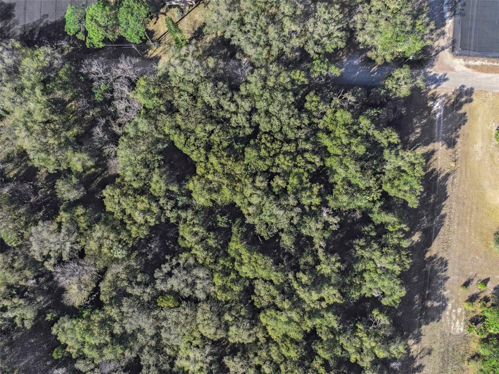 1975 STONE RD, PIERSON, FL — photo 27