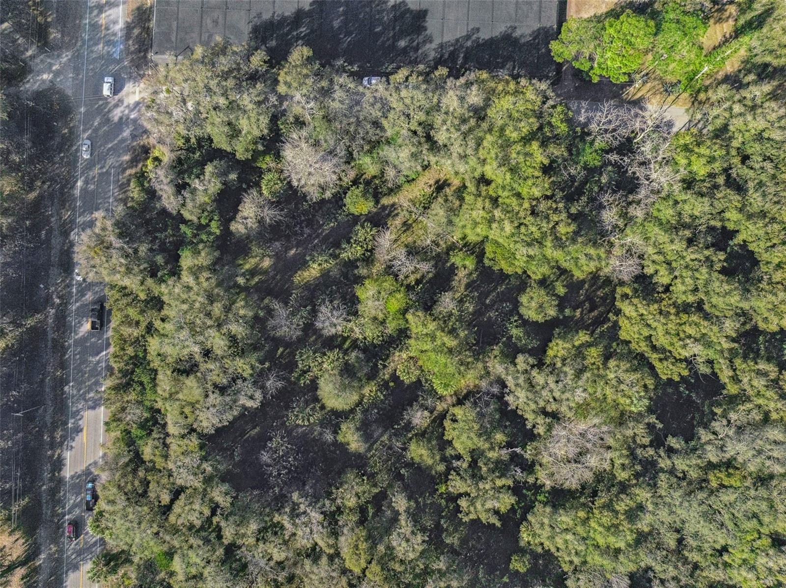 1975 STONE RD, PIERSON, FL — photo 29