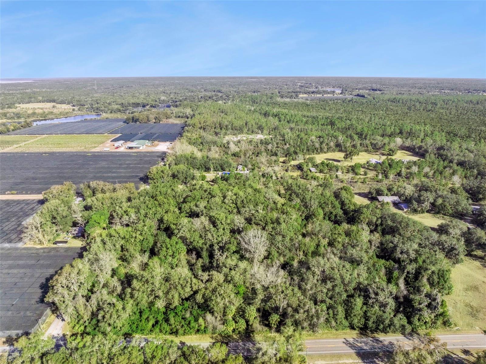1975 STONE RD, PIERSON, FL — photo 31