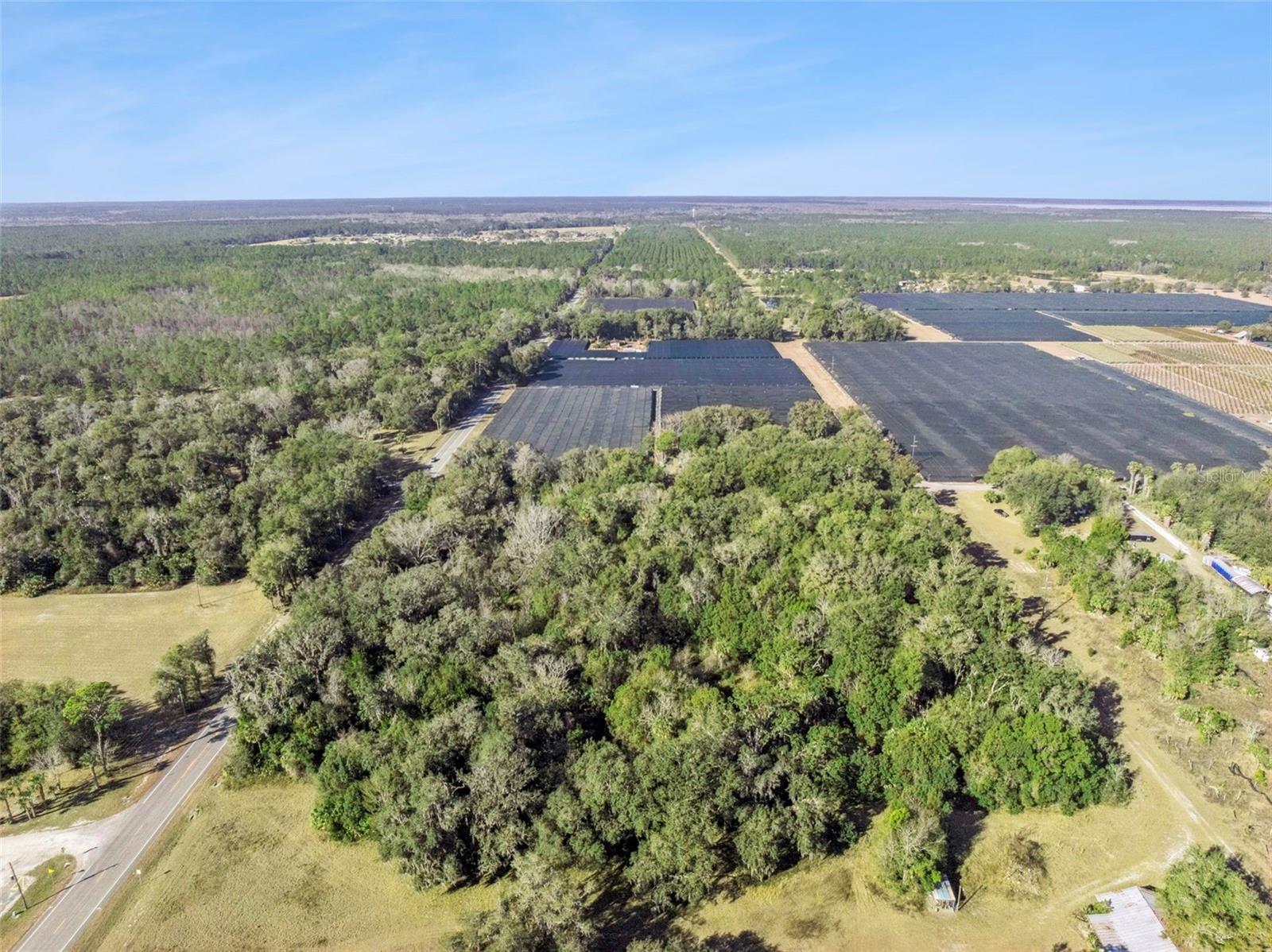 1975 STONE RD, PIERSON, FL — photo 33