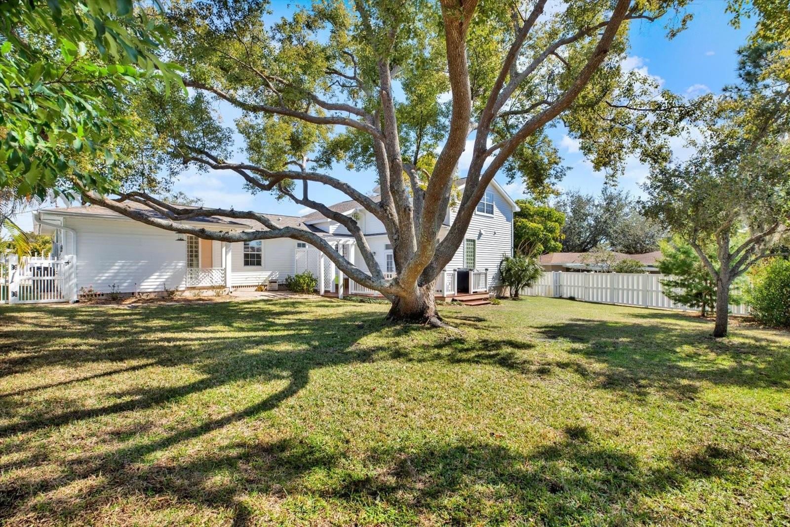 504 FAIRVIEW RD, BELLEAIR, FL — photo 40