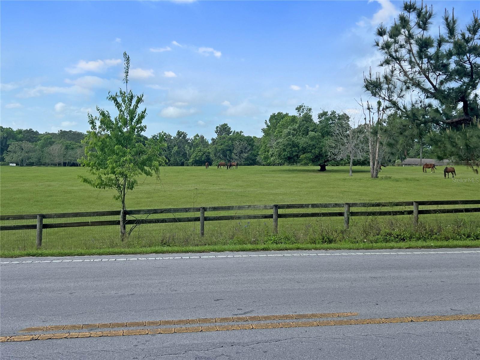 5378 W HIGHWAY 329, REDDICK, FL — photo 4