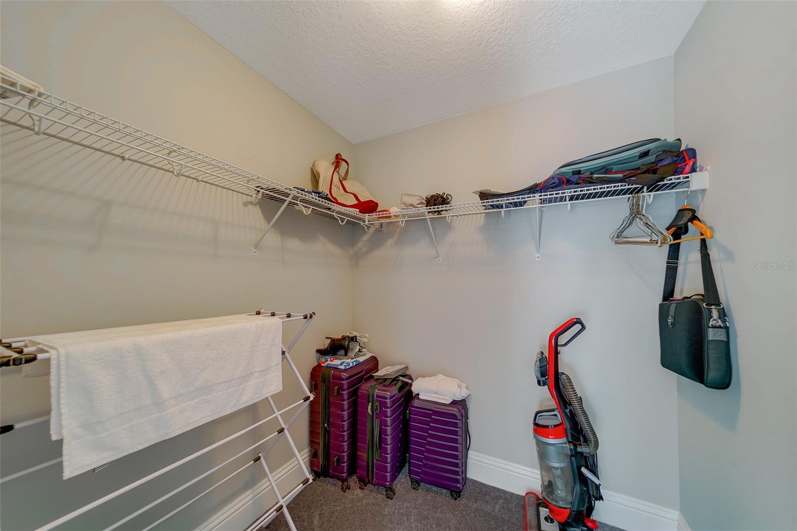 2416 FOGGY CREEK CIR, CLEARWATER, FL — photo 35