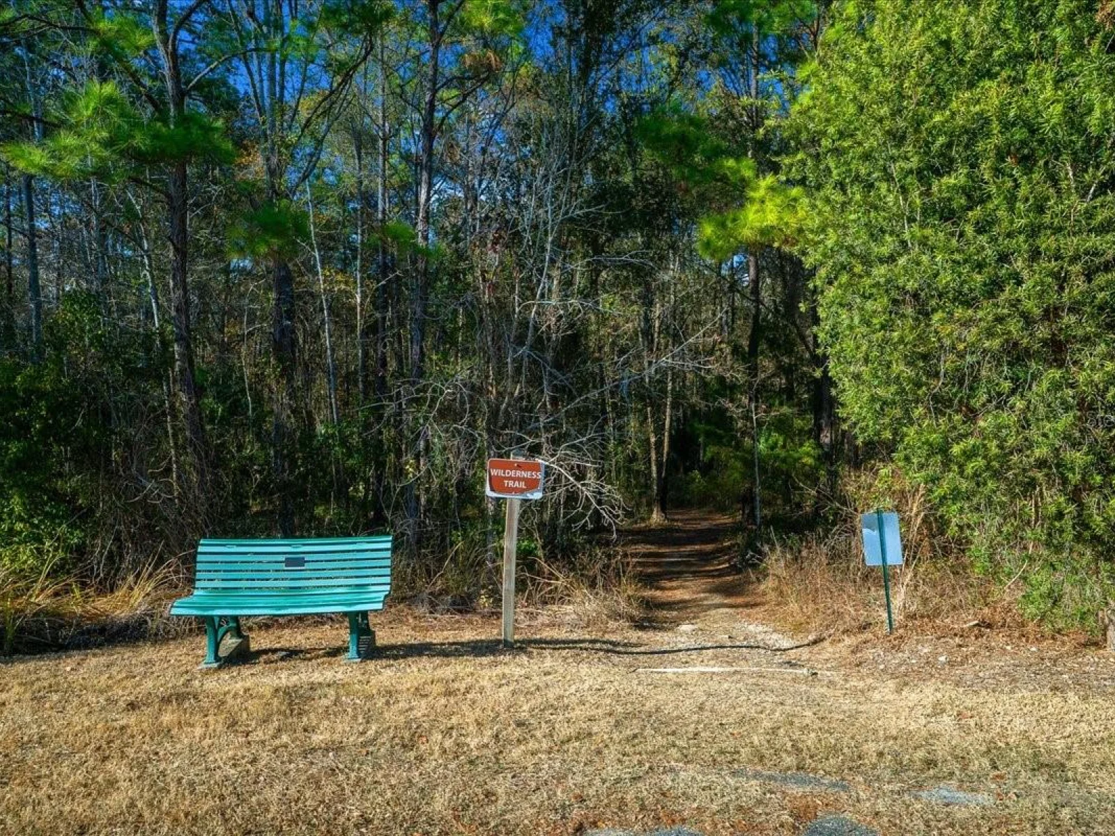 3047 NE 102ND AVENUE RD, SILVER SPRINGS, FL — photo 67
