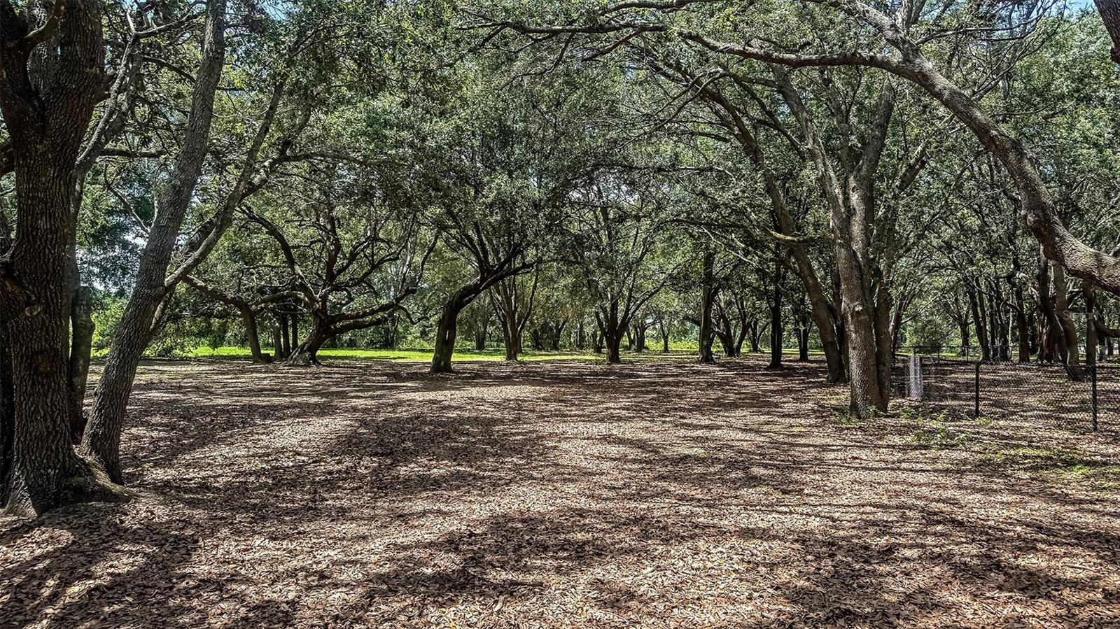 7603 WATERSCAPE DR, GROVELAND, FL — photo 70