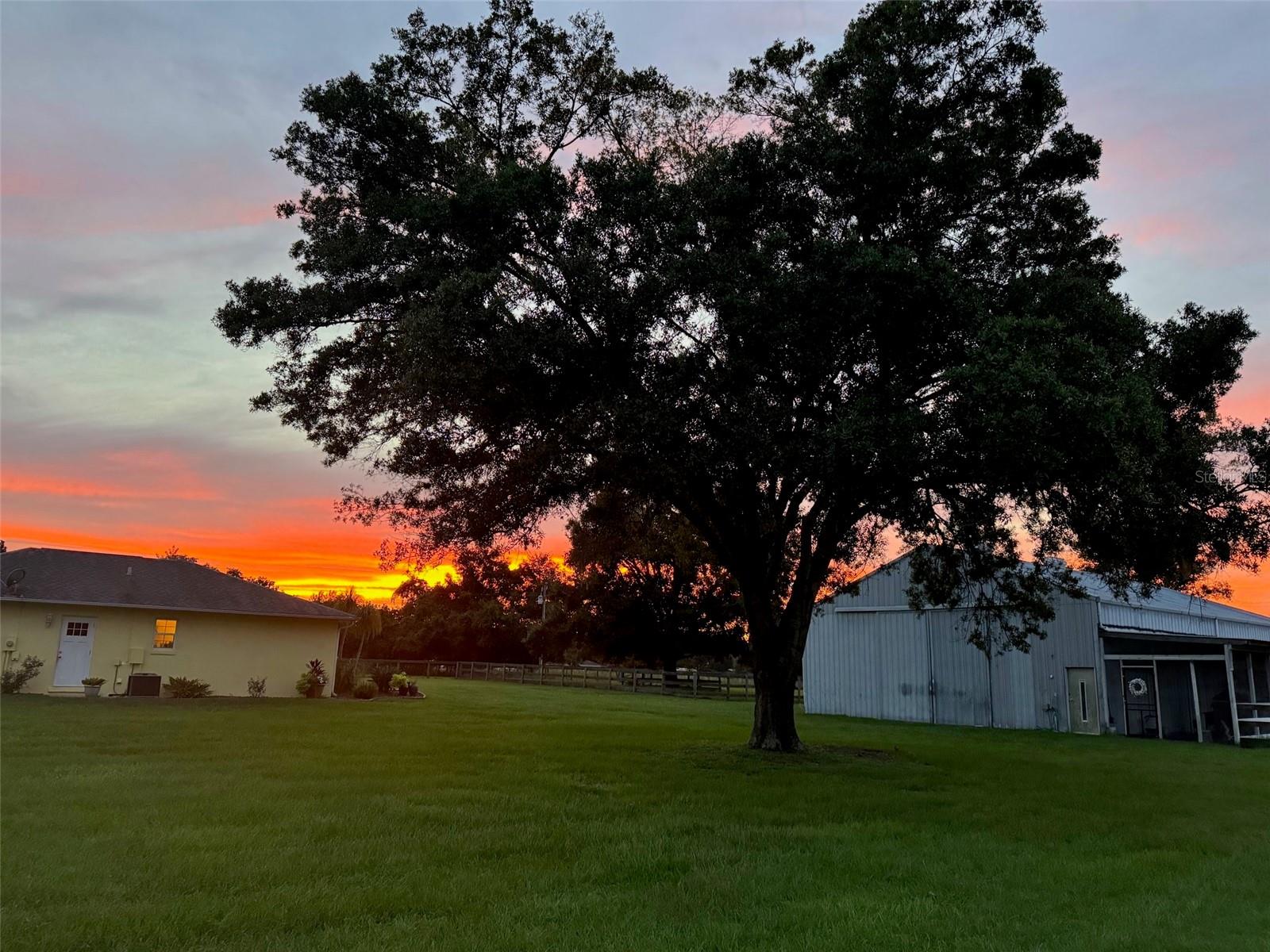 331 SE HIGHWAY 42, SUMMERFIELD, FL — photo 11