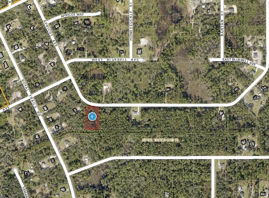 APRICOT AVE, EUSTIS, FL — photo 3