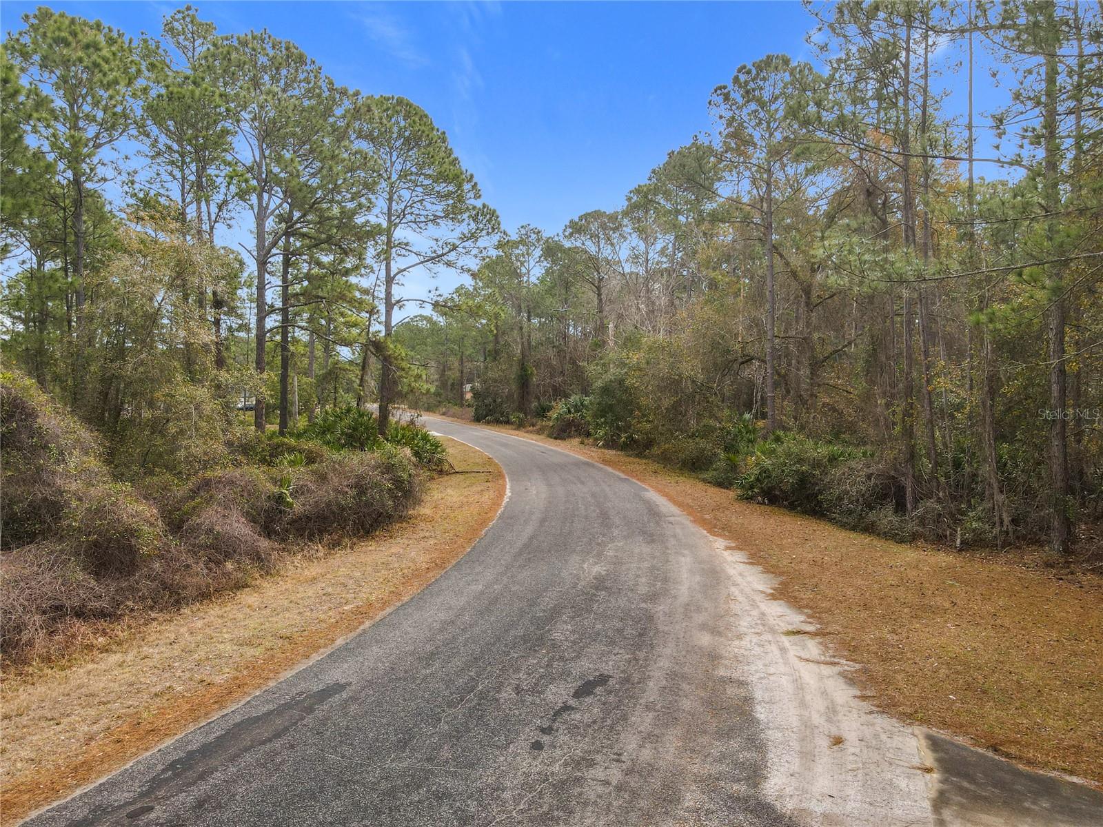 APRICOT AVE, EUSTIS, FL — photo 5
