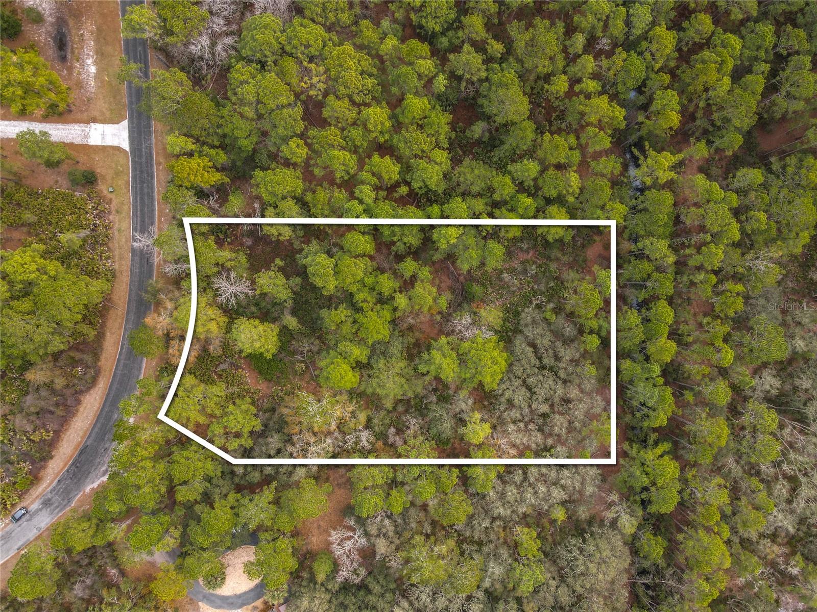 APRICOT AVE, EUSTIS, FL — photo 10
