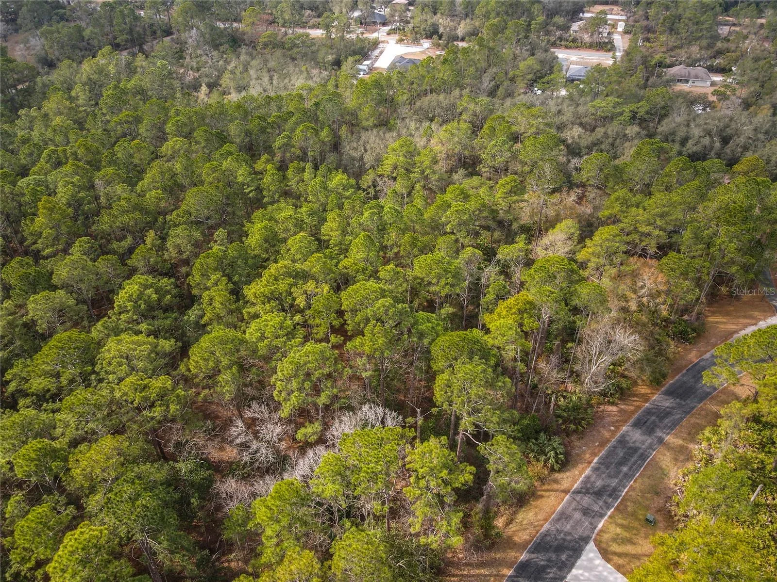APRICOT AVE, EUSTIS, FL — photo 14