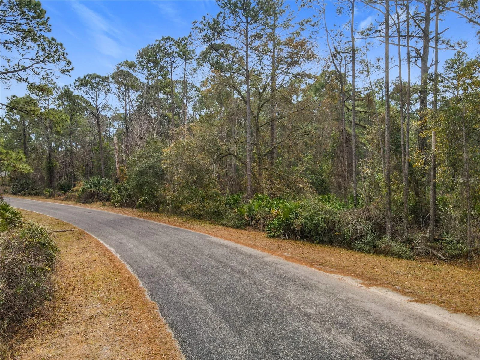 APRICOT AVE, EUSTIS, FL — photo 16