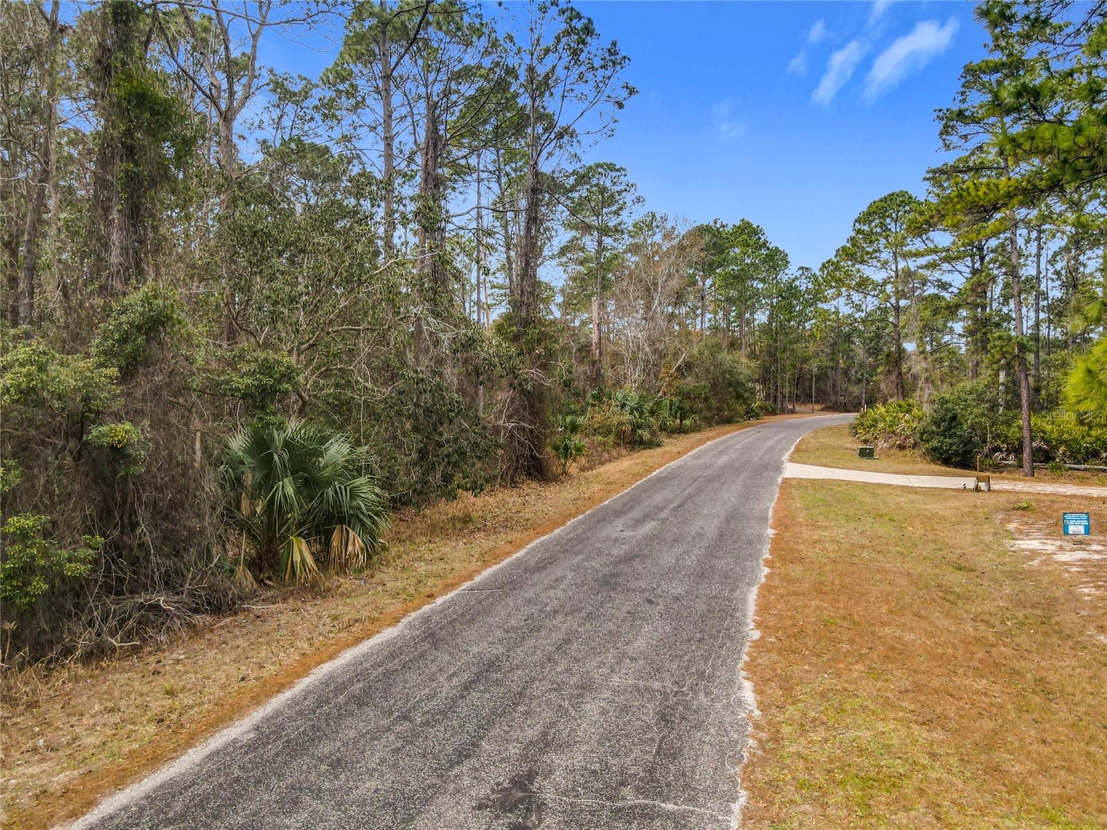 APRICOT AVE, EUSTIS, FL — photo 18