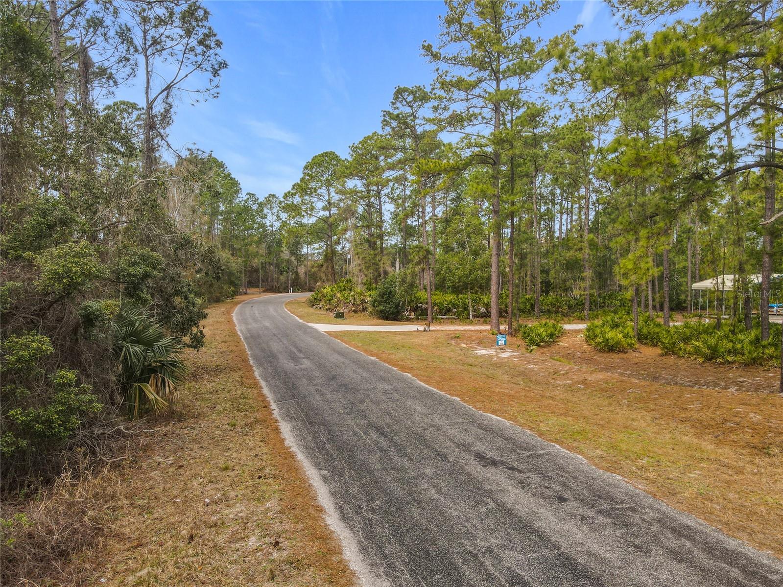 APRICOT AVE, EUSTIS, FL — photo 20