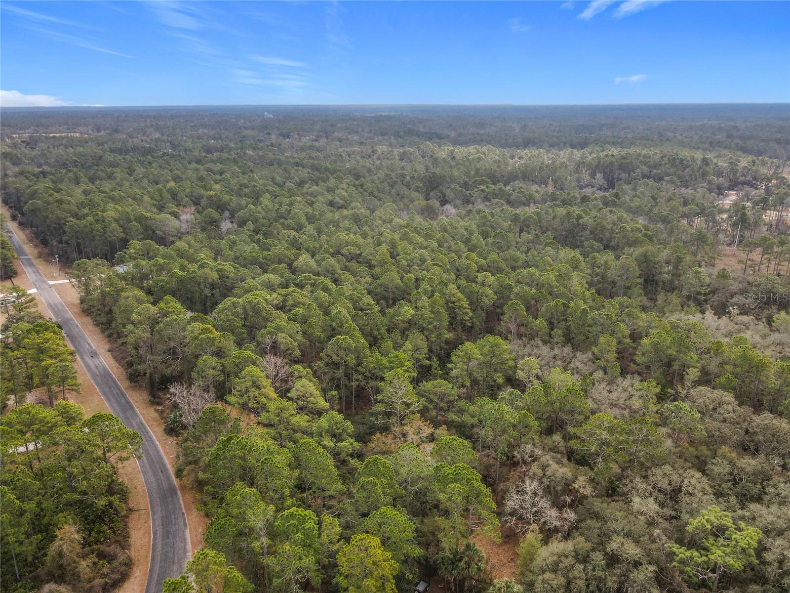 APRICOT AVE, EUSTIS, FL — photo 22