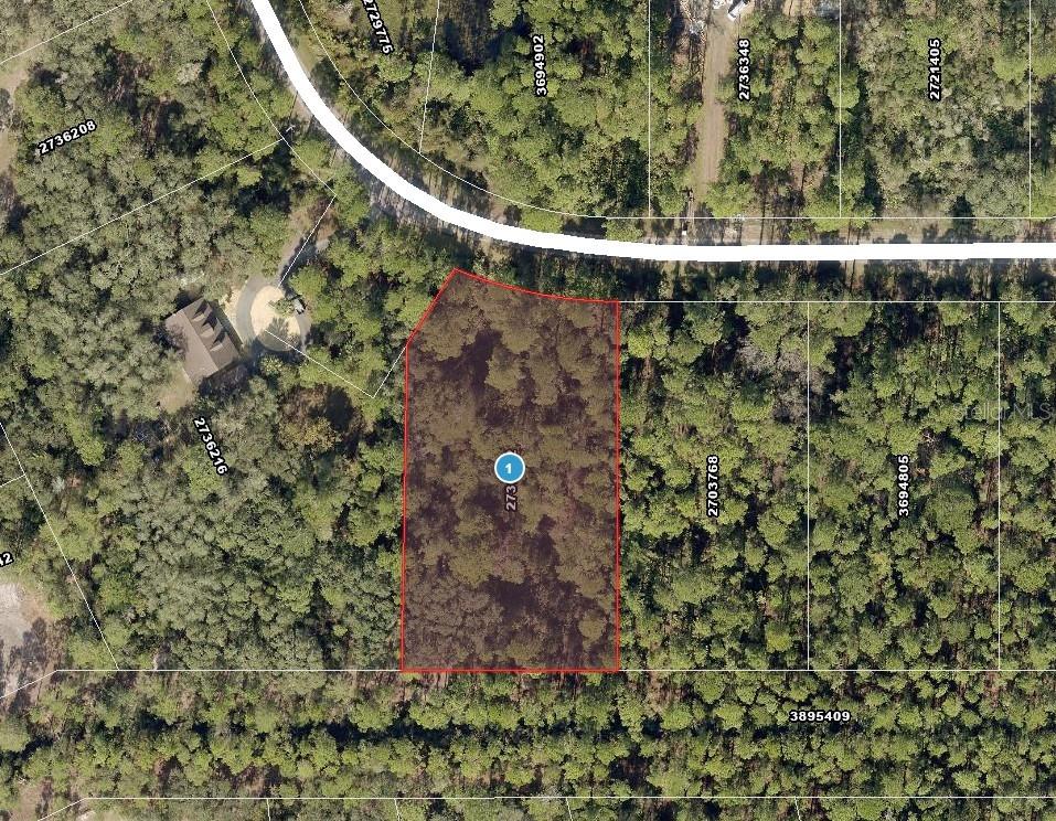 APRICOT AVE, EUSTIS, FL — photo 24