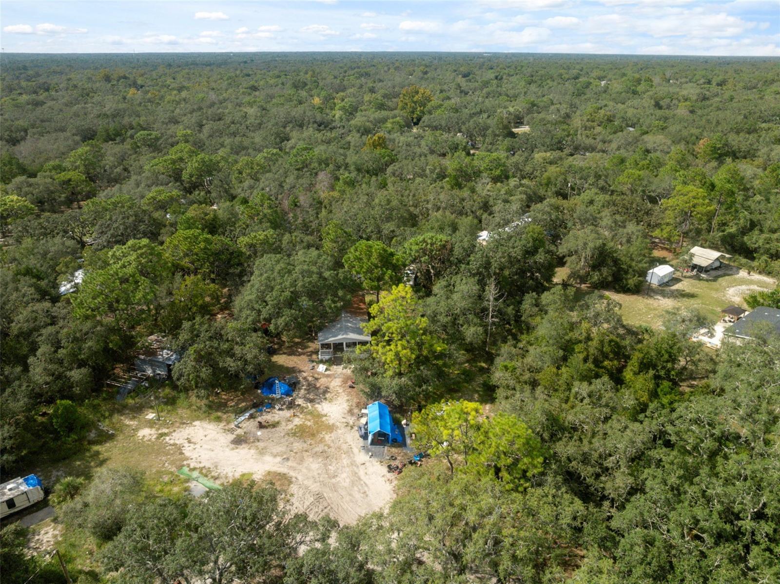 17221 NICKS DR, SPRING HILL, FL — photo 2