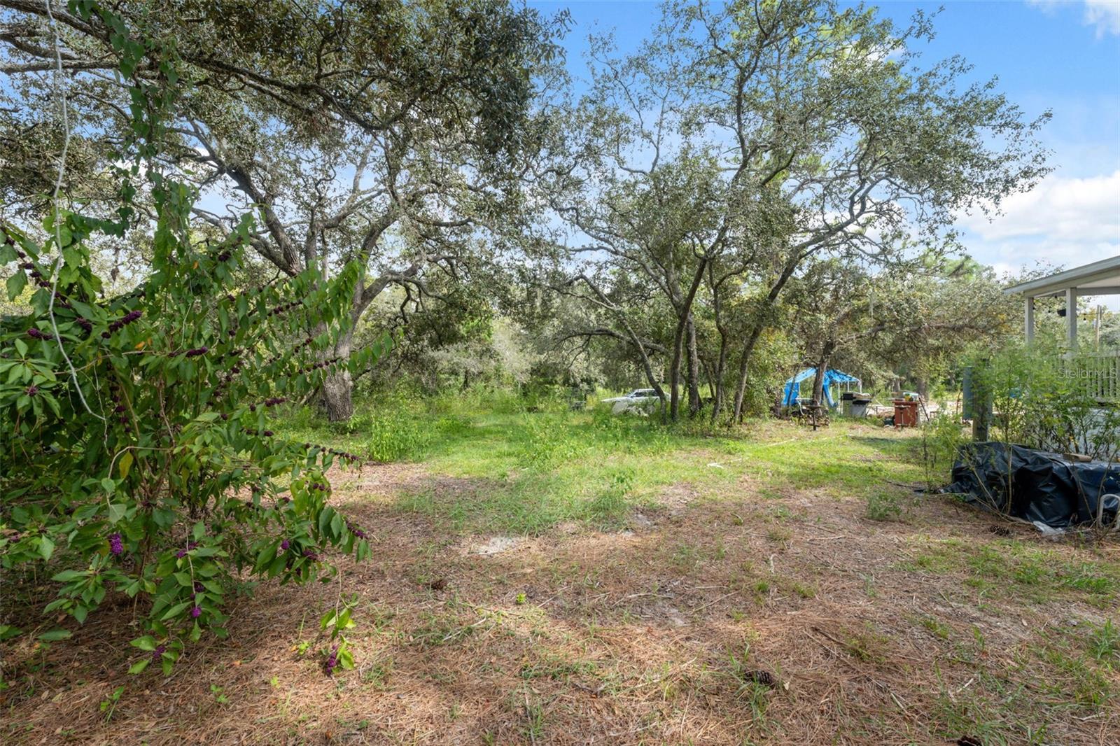 17221 NICKS DR, SPRING HILL, FL — photo 21