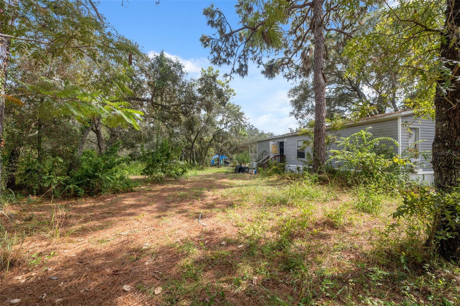 17221 NICKS DR, SPRING HILL, FL — photo 24