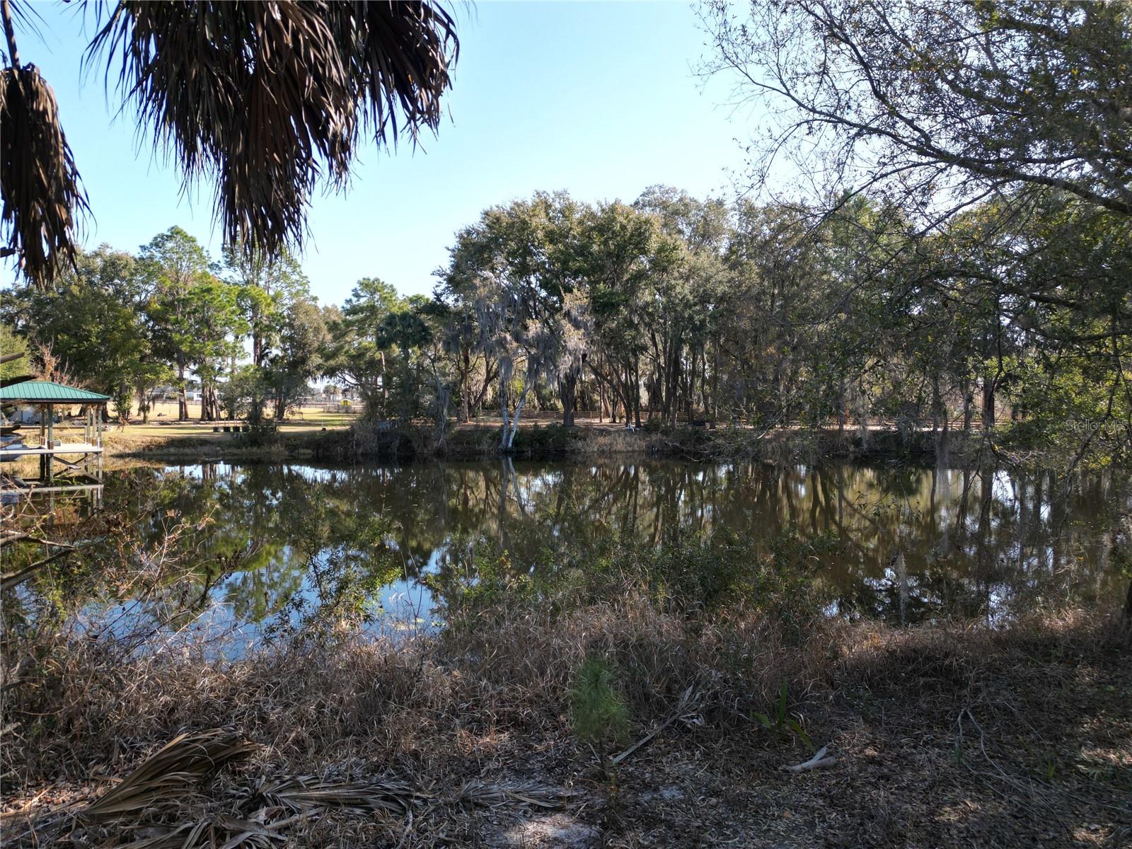 3672 HIDDEN RIVER LN, TAVARES, FL — photo 9