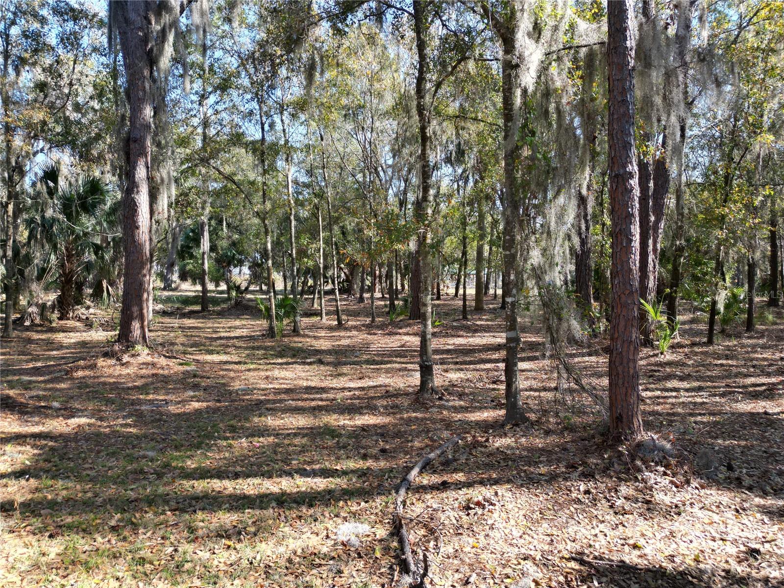 3672 HIDDEN RIVER LN, TAVARES, FL — photo 13