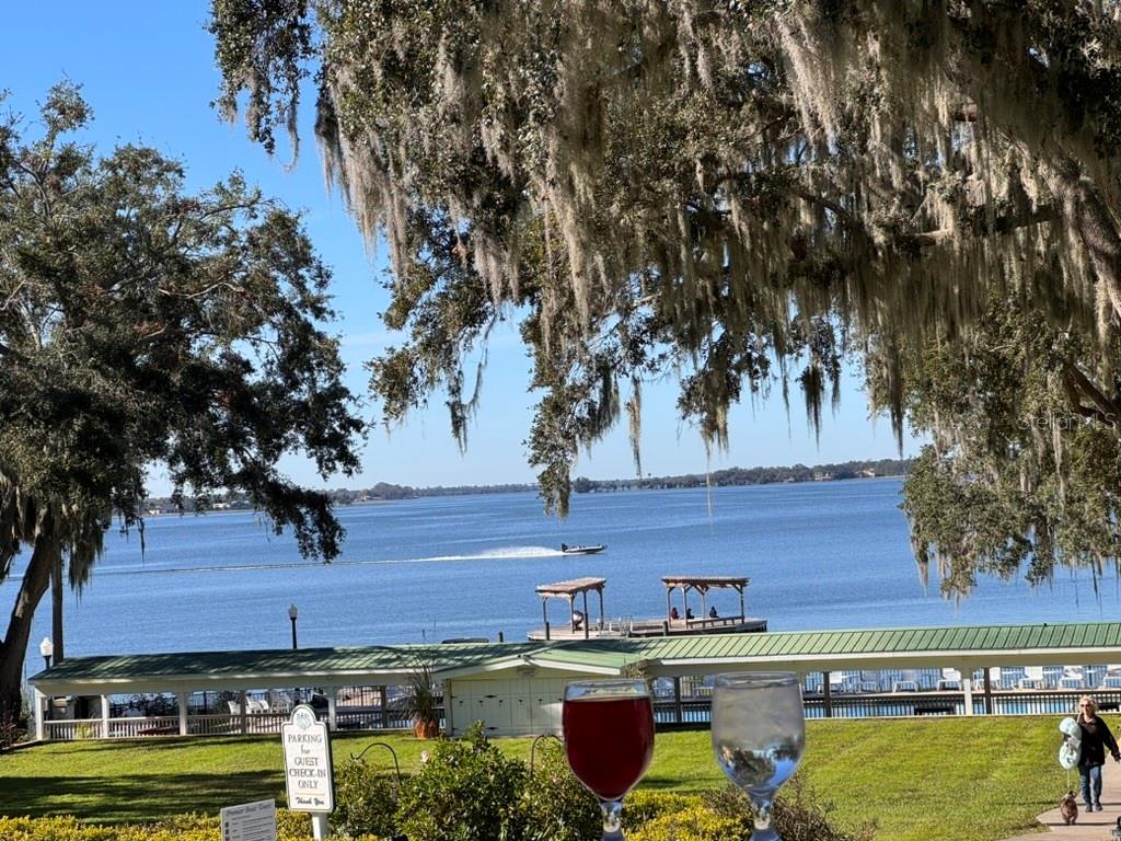 3672 HIDDEN RIVER LN, TAVARES, FL — photo 37