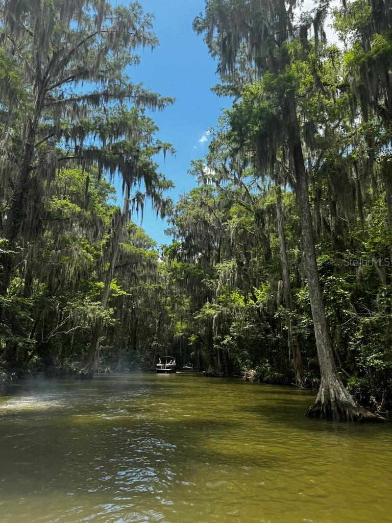3672 HIDDEN RIVER LN, TAVARES, FL — photo 47