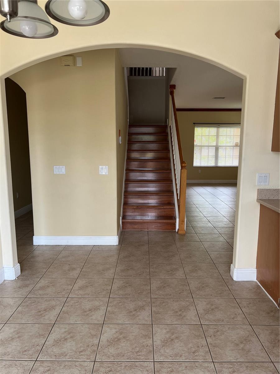 8810 CAMERON CREST DR, TAMPA, FL — photo 8