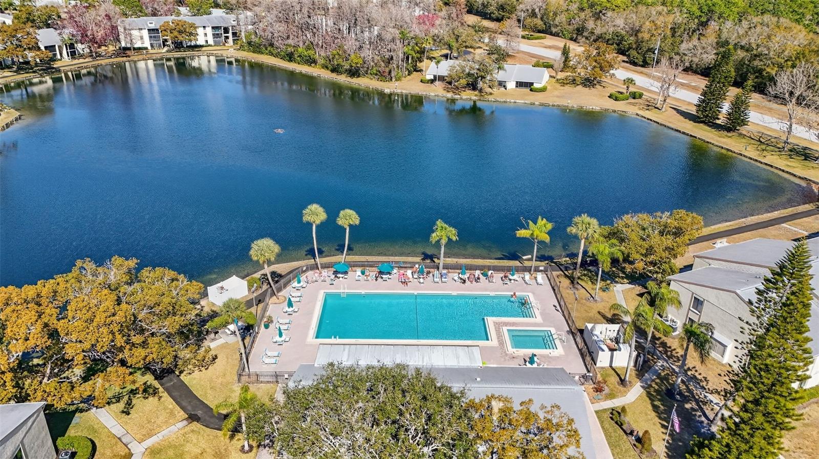 1398 SHADY PINE WAY #A1, TARPON SPRINGS, FL — photo 22