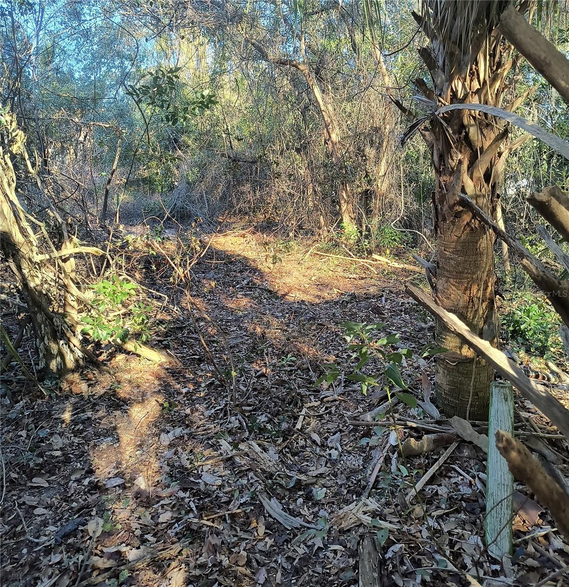 1929 NE 7TH PL, GAINESVILLE, FL — photo 15