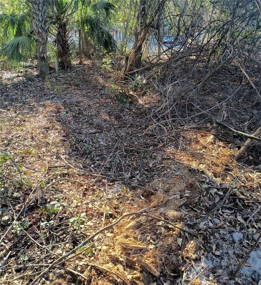1929 NE 7TH PL, GAINESVILLE, FL — photo 27