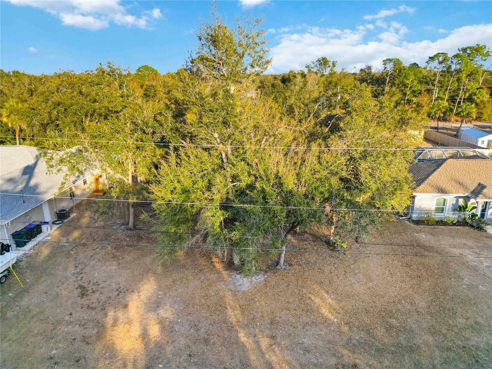 Lot 26 HOLLAND ST, NORTH PORT, FL — photo 12