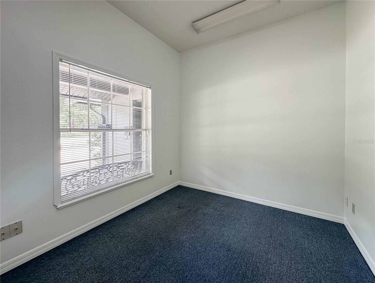 336 E PLANT ST, WINTER GARDEN, FL — photo 7