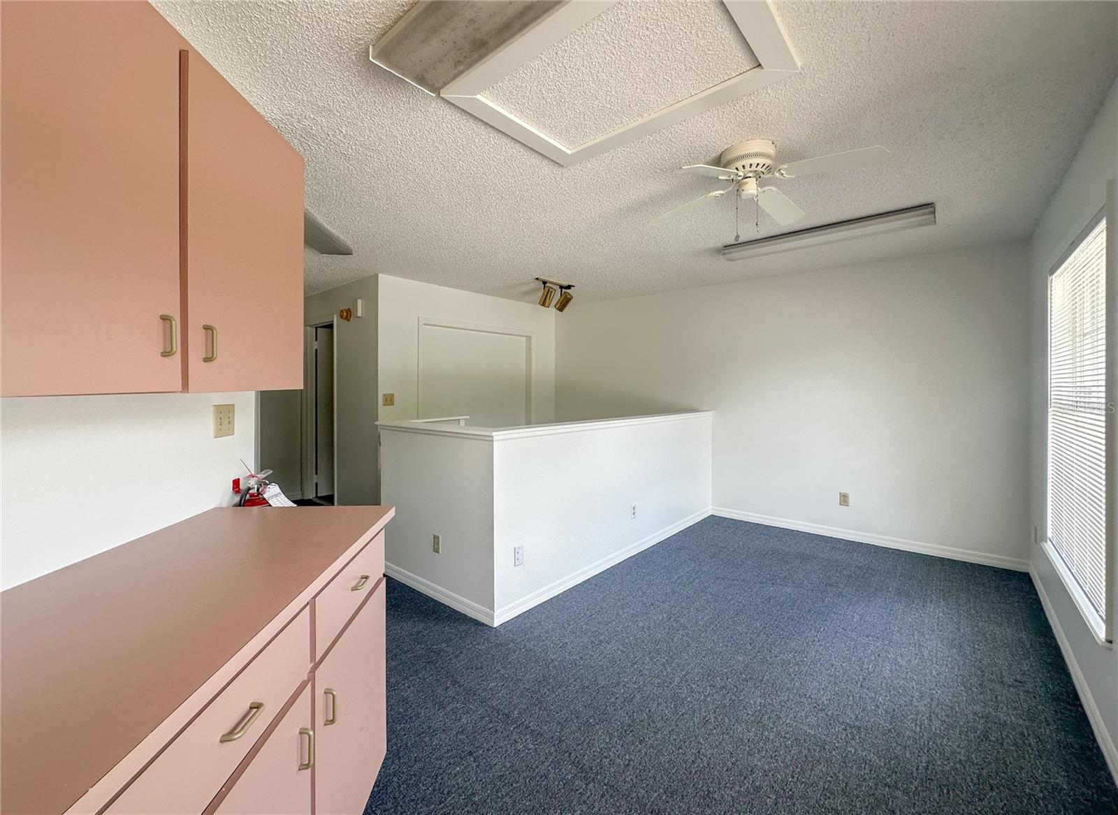 336 E PLANT ST, WINTER GARDEN, FL — photo 14