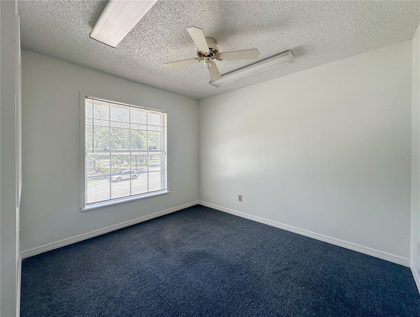 336 E PLANT ST, WINTER GARDEN, FL — photo 18