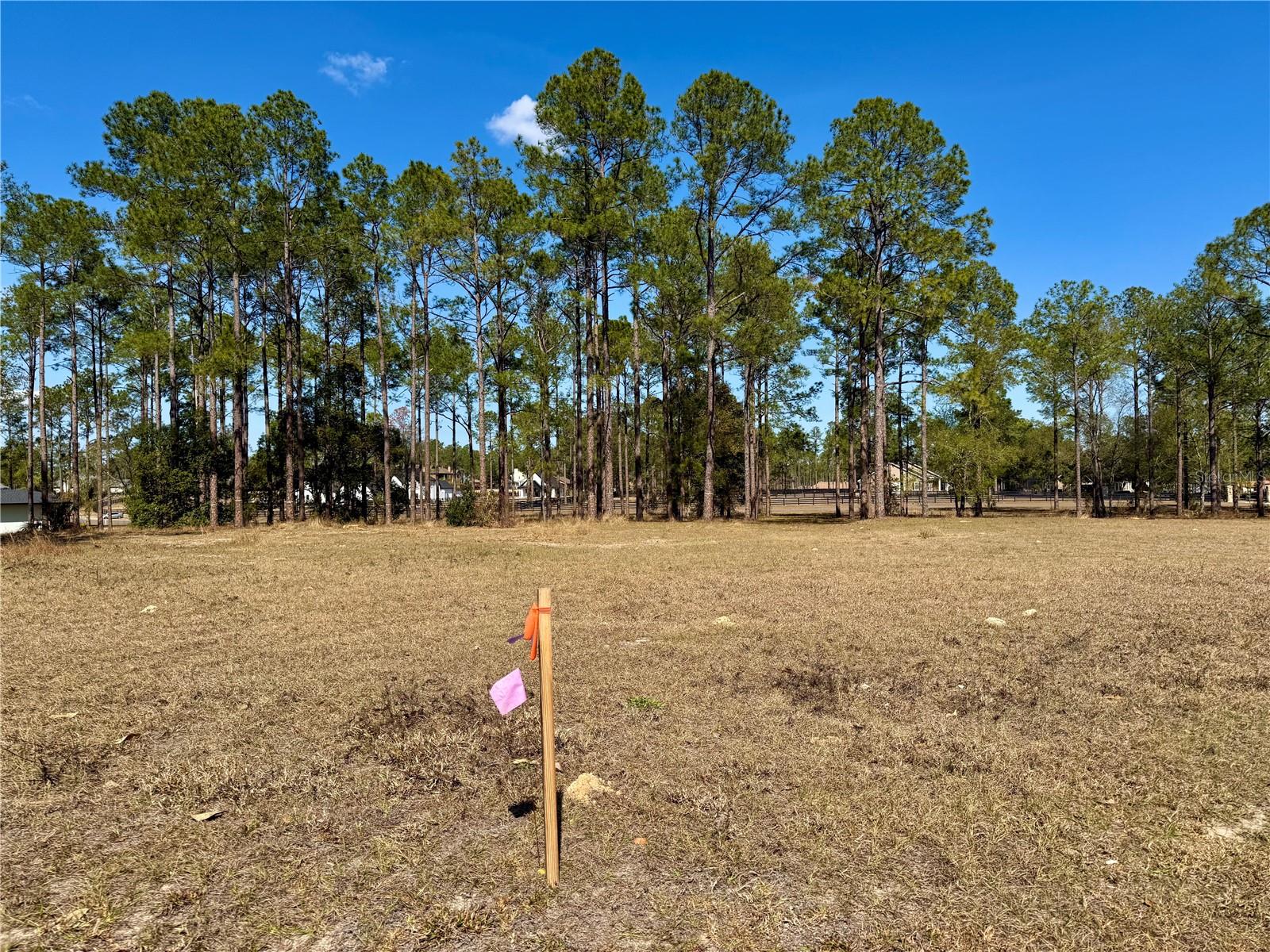 35135 PINEGATE TRL, EUSTIS, FL — photo 10