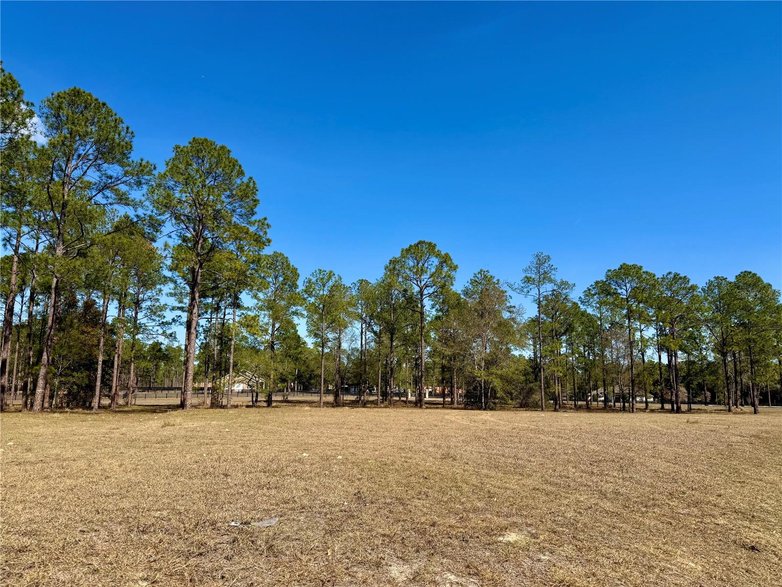 35135 PINEGATE TRL, EUSTIS, FL — photo 11